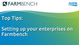 FARMBENCH: Setting up your enterprise on Farmbench